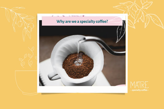 Why We Are a Specialty Coffee